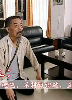 罪犯伪装成警察逃跑，不料被识破，直接被抓回来，犯罪剧