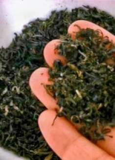 茶叶“过期”了还能喝吗？好多人想错了，多亏茶农提醒，别浪费了