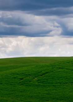 美丽的华盛顿：感受不一样的异域美景