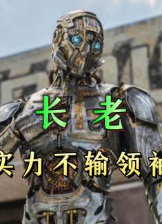 长老的实力在什么级别