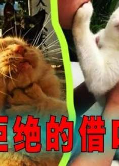 爆笑解说：当你想要拒绝别人，你会找什么样的借口？