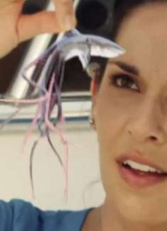 美女捡了一条小八爪鱼,拿回家当宠物,怎料半年后长得比坦克还大