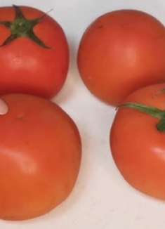 经常吃西红柿的留意了，现在知道还不算晚，看完告知家人，好重要