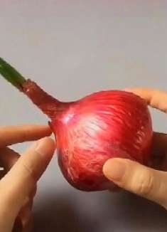 洋葱原来还有大用处，头上有白发，妙用洋葱，黑发蹭蹭长出来