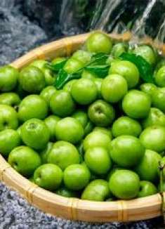 青梅酒｜今年泡酒，来年享受！