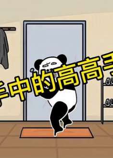 高手中的高高手！