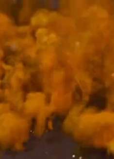 蟹黄包，一起来看看吧，好吃又健康