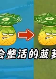 这么会整活的菠萝，你见过没有