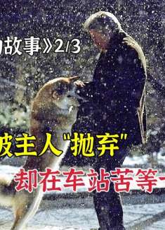 狗狗被主人抛弃，却在车站苦等十年！9.3高分催泪2/3