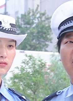 局长逆行闯红灯，还侮辱女交警，结果付出惨痛代价