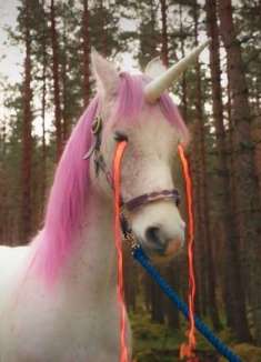 抽象苏格兰人，拍出了最抽象的饮料广告