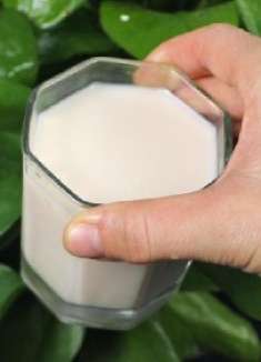 绿萝就爱喝这“3种水”，一个月浇一次，叶绿根壮，越长越旺