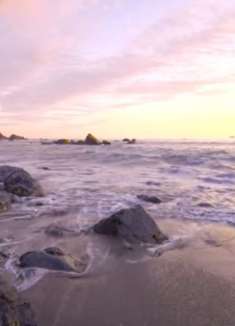 漫步森林：令人惊叹的自然美景