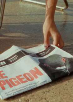 迷幻电子摇滚，演绎最不靠谱的「鸽们」