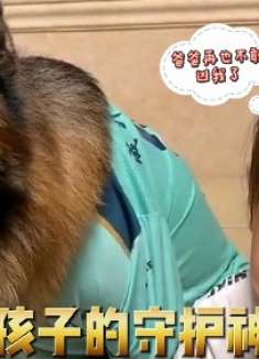 辅导孩子不能有点耐心么？丫头，我看铲屎的还敢吆五喝六不