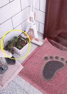 家门口尽量不要放这4样东西，有讲究，看完回家拿走，别不当回事