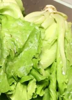 生菜搭配鸡蛋是绝配，教你好吃做法，鲜脆爽口，营养解馋，特别香