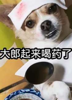 搞笑视频：大郎起来喝药了