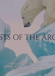 「北极之魂」叹为观止的极地风光大片