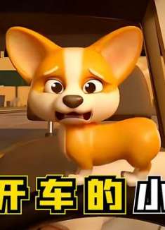 让小狗狗来开车，那就是一段惊险之旅