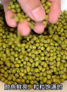煮绿豆汤，切记别直接下锅煮，教你一招快速开花，颜色碧绿又起沙