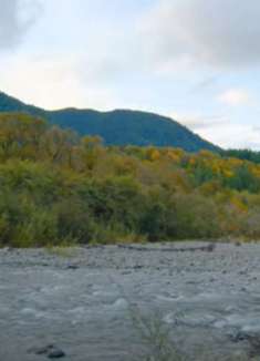 奥林匹克国家公园：轻松有趣，让人陶醉