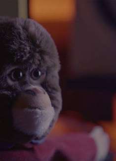 Holly Holly 别哭泣，明天一切都会好起来