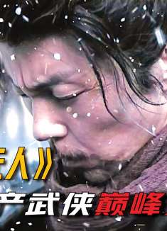 这绝对是近年来最好看的国产动作片，堪称武侠巅峰之作！