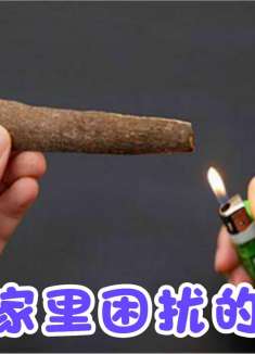 把桂皮这样烧一烧，用途真是厉害，解决家家困扰烦恼，省钱又好用