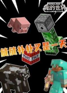 缝缝补补又是一天 我的世界