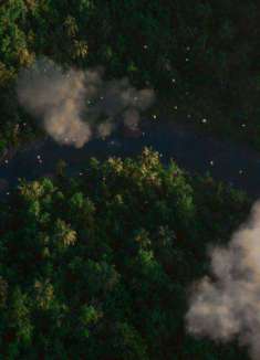 活过来的热带雨林，一起聆听自然的声音