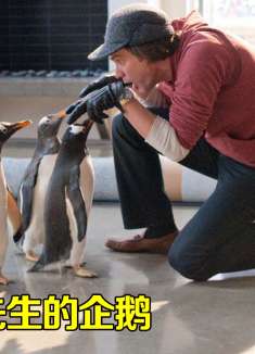 见过遛狗遛猫的，你见过遛企鹅的吗？喜剧片