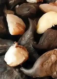 生吃清热解毒，熟吃健脾强腰，对心脏特好，降低胆固醇！