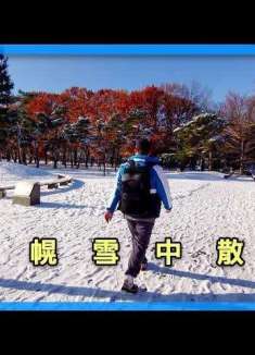 3分钟漫游札幌雪景，沉浸式冬日漫步体验