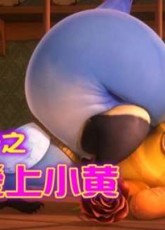 爆笑虫子被困窗外，竟被鹦鹉看上，带回家做了童养夫