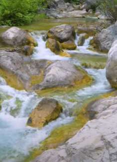 山间溪流：清澈美丽，让人惊叹